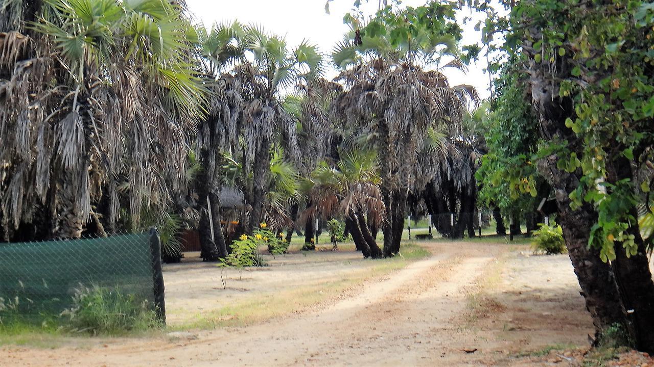 Paridiseos Resort Barra Do Dande Extérieur photo